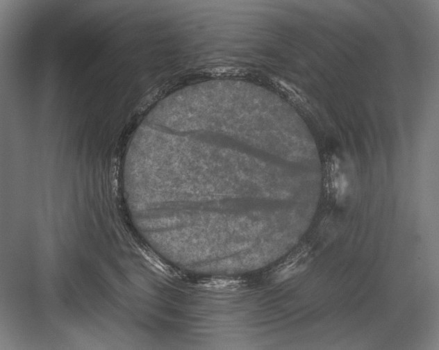 X0000082170664200702162302