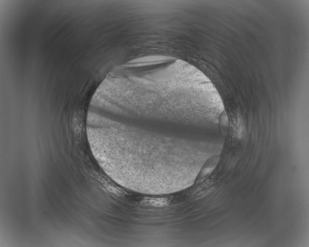 X0000082170665200702162302