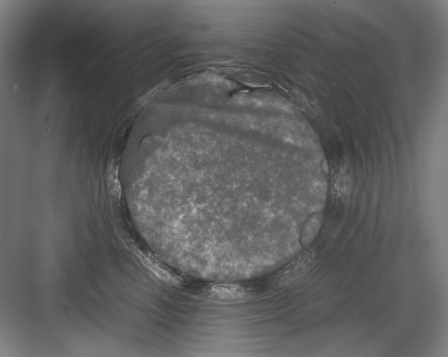 X0000082170666200702162302