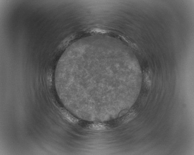 X0000082170668200702162302