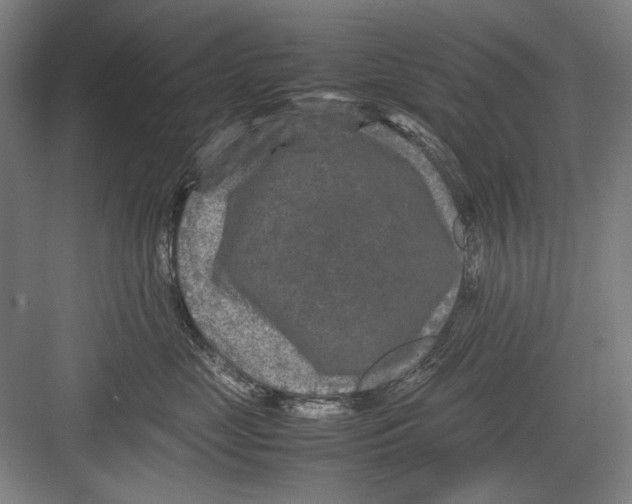 X0000082170669200702162302