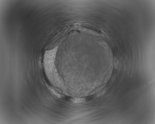 X0000082170670200702162302