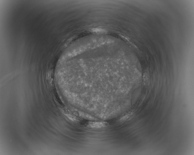 X0000082170671200702162302