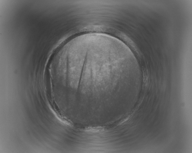 X0000082170674200702162301