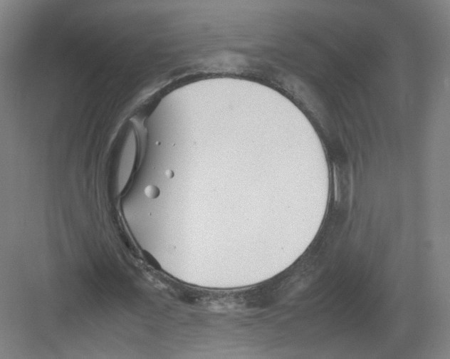 X0000082170675200702162301