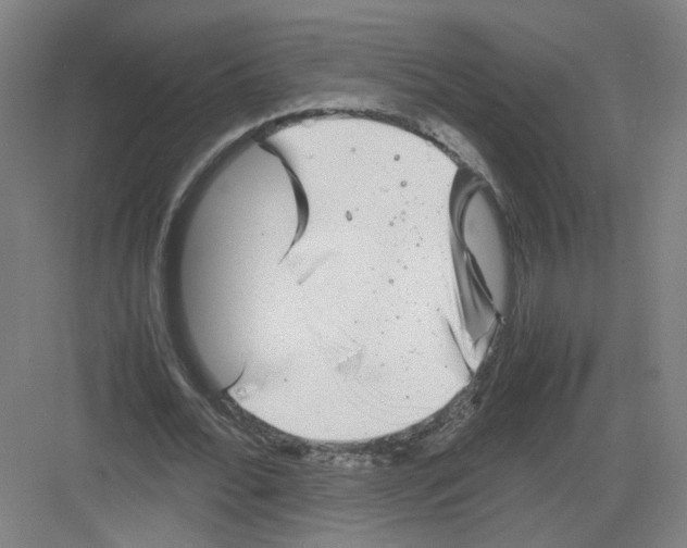 X0000082170676200702162301