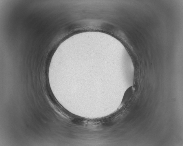 X0000082170677200702162301