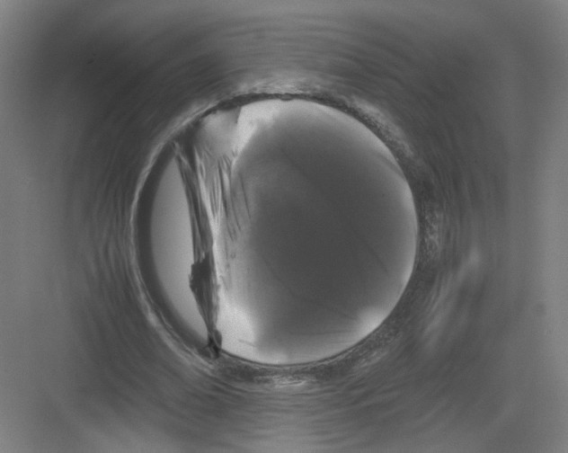 X0000082170678200702162301