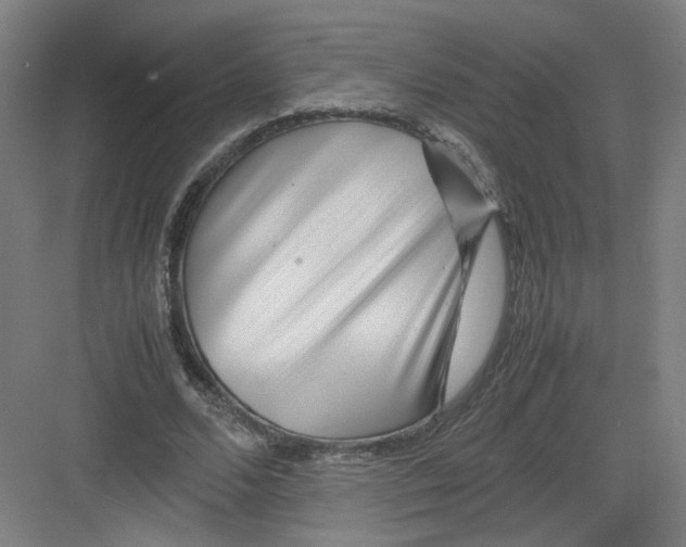 X0000082170680200702162301