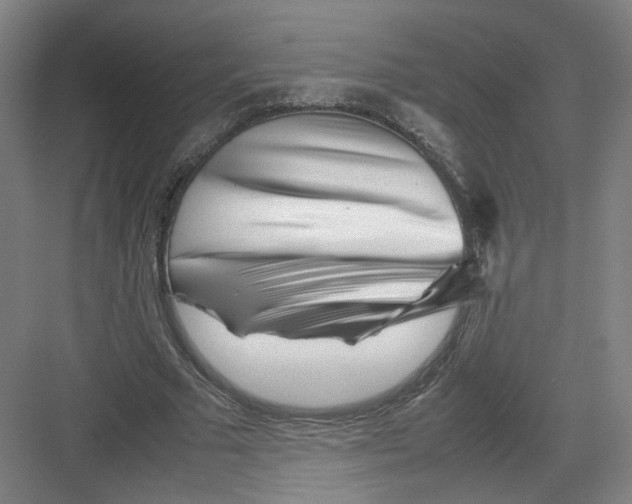 X0000082170681200702162301