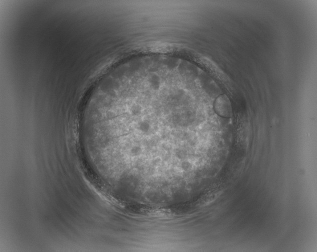 X0000082170683200702162301