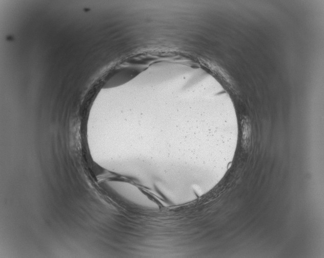 X0000082170684200702162301