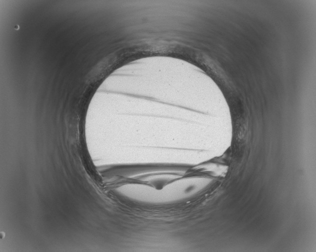 X0000082170685200702162301