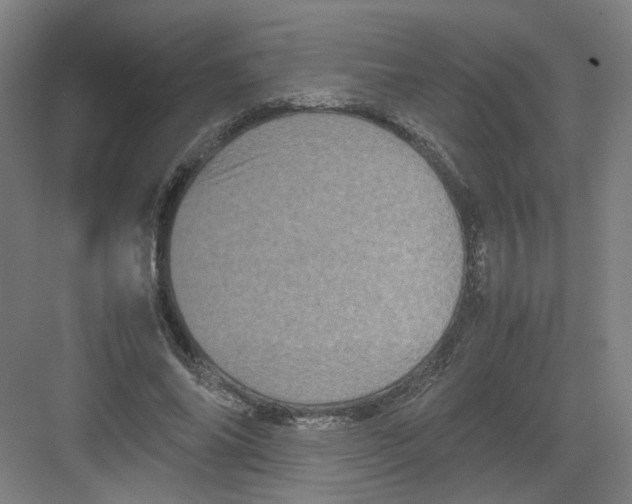 X0000082170686200702162301