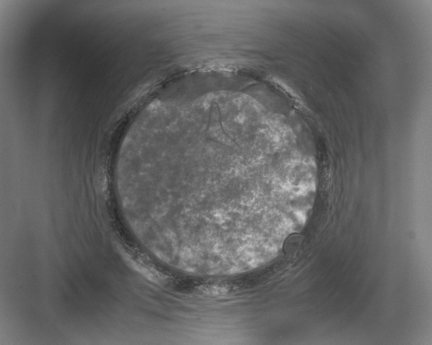 X0000082170687200702162301