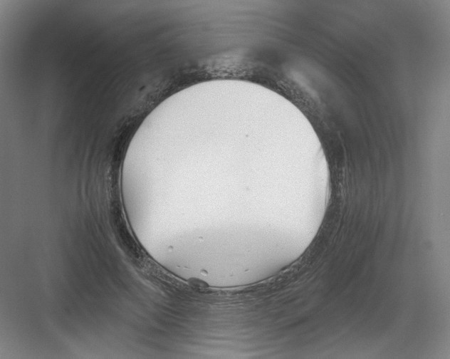 X0000082170690200702162301