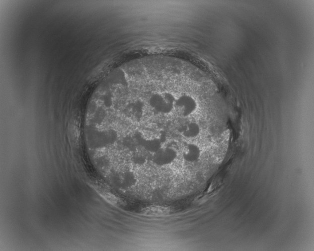 X0000082170691200702162301