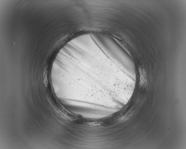 X0000082170692200702162301