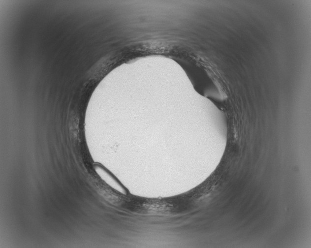 X0000082170693200702162301