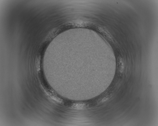 X0000082170694200702162301