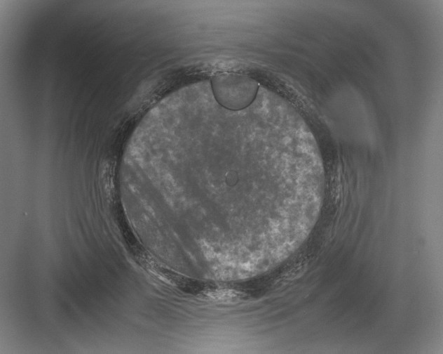 X0000082170695200702162301