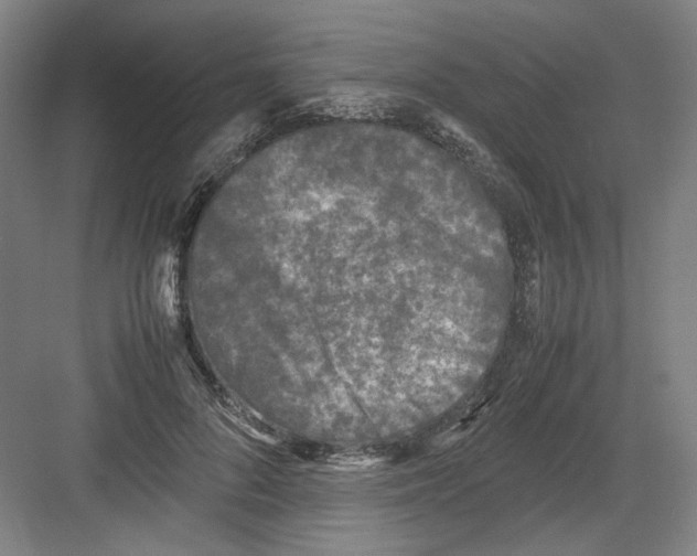 X0000082170696200702162301