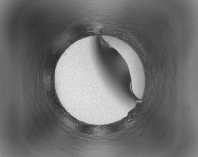 X0000082170697200702162301