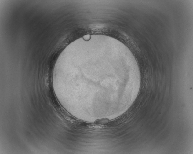 X0000082170698200702162301