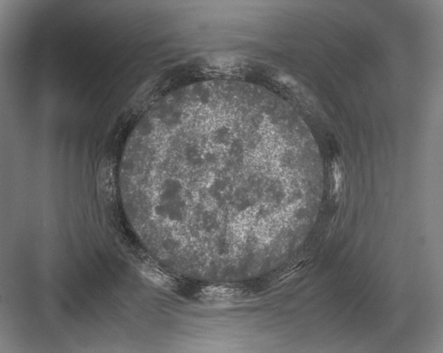 X0000082170699200702162301