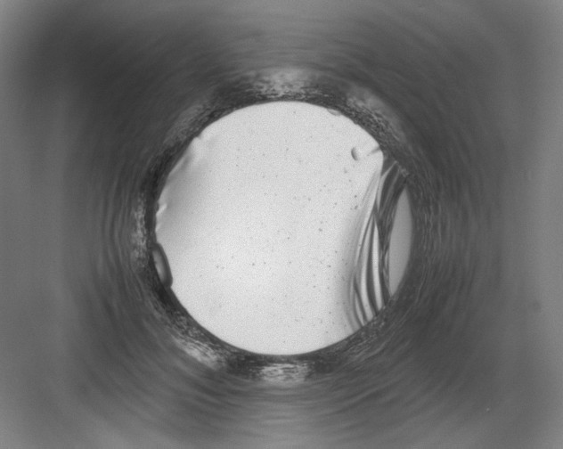 X0000082170700200702162301