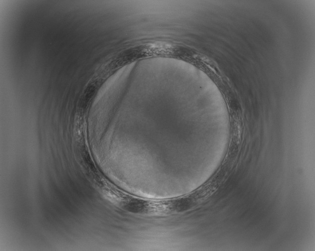 X0000082170701200702162301