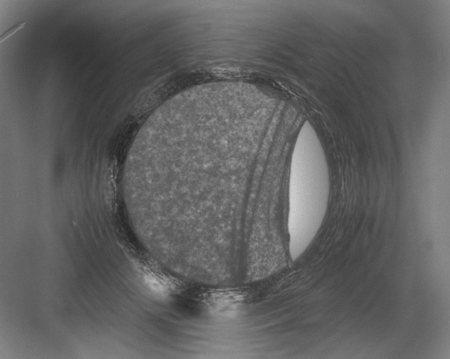 X0000082170702200702162301