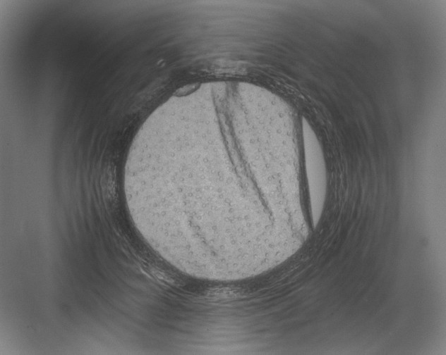 X0000082170704200702162301