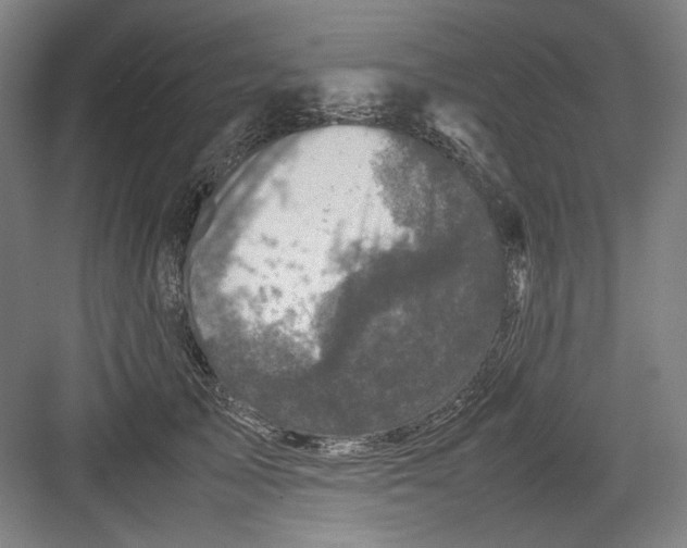 X0000082170705200702162301