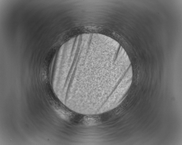 X0000082170706200702162301