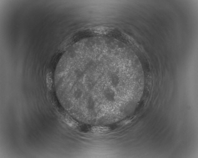 X0000082170707200702162301