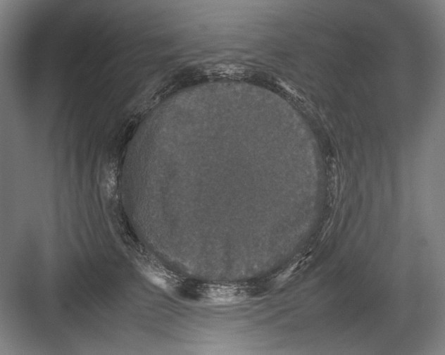 X0000082170709200702162301