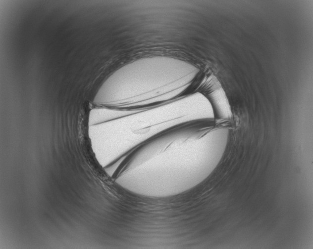 X0000082170712200702162301