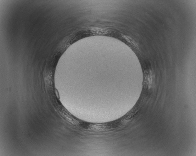 X0000082170713200702162301