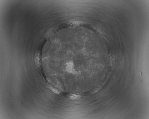 X0000082170718200702162301