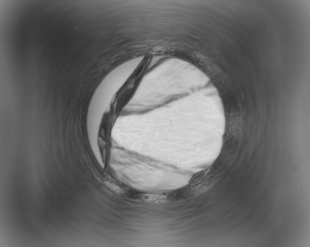 X0000082170719200702162301