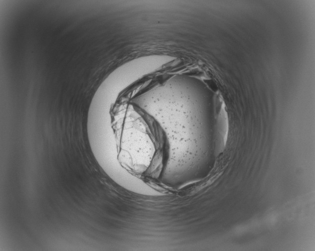 X0000082170720200702162301