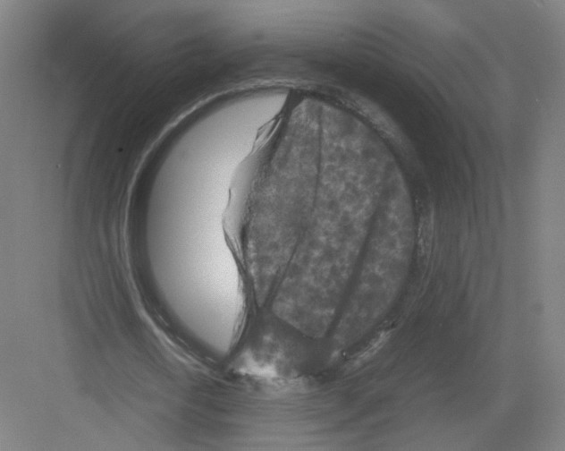 X0000082170722200702162300