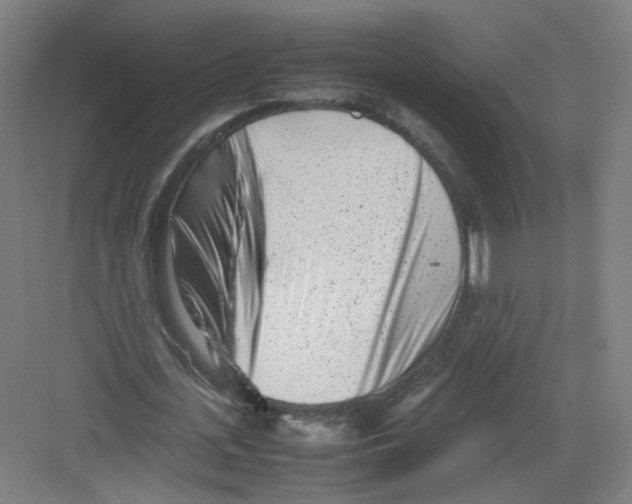 X0000082170723200702162300