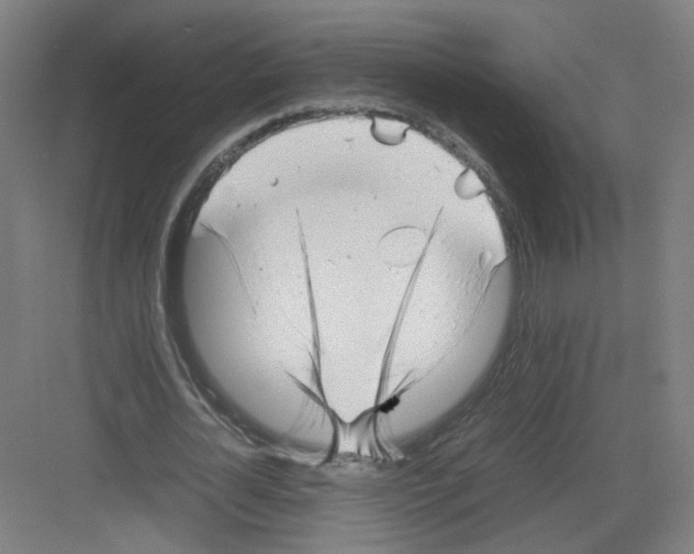 X0000082170724200702162300