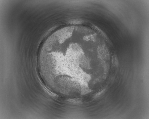 X0000082170725200702162300