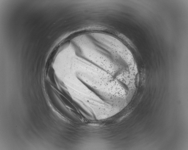 X0000082170726200702162300