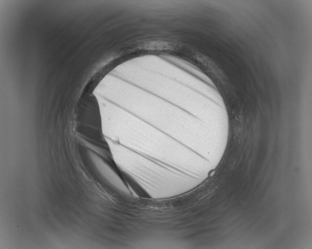 X0000082170727200702162300