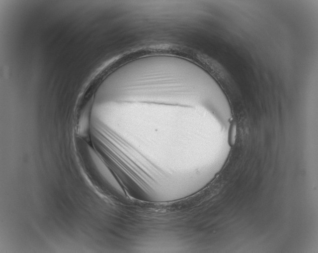 X0000082170728200702162300