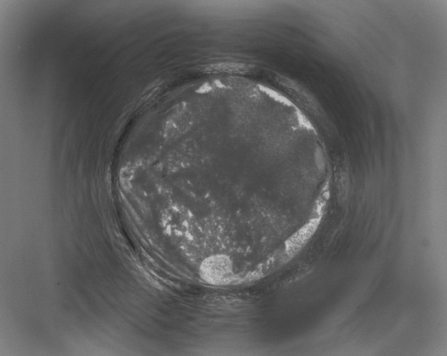 X0000082170729200702162300